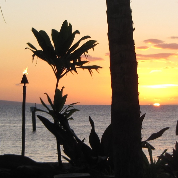 Meet your Posher, Blake - Picture 1 of 1